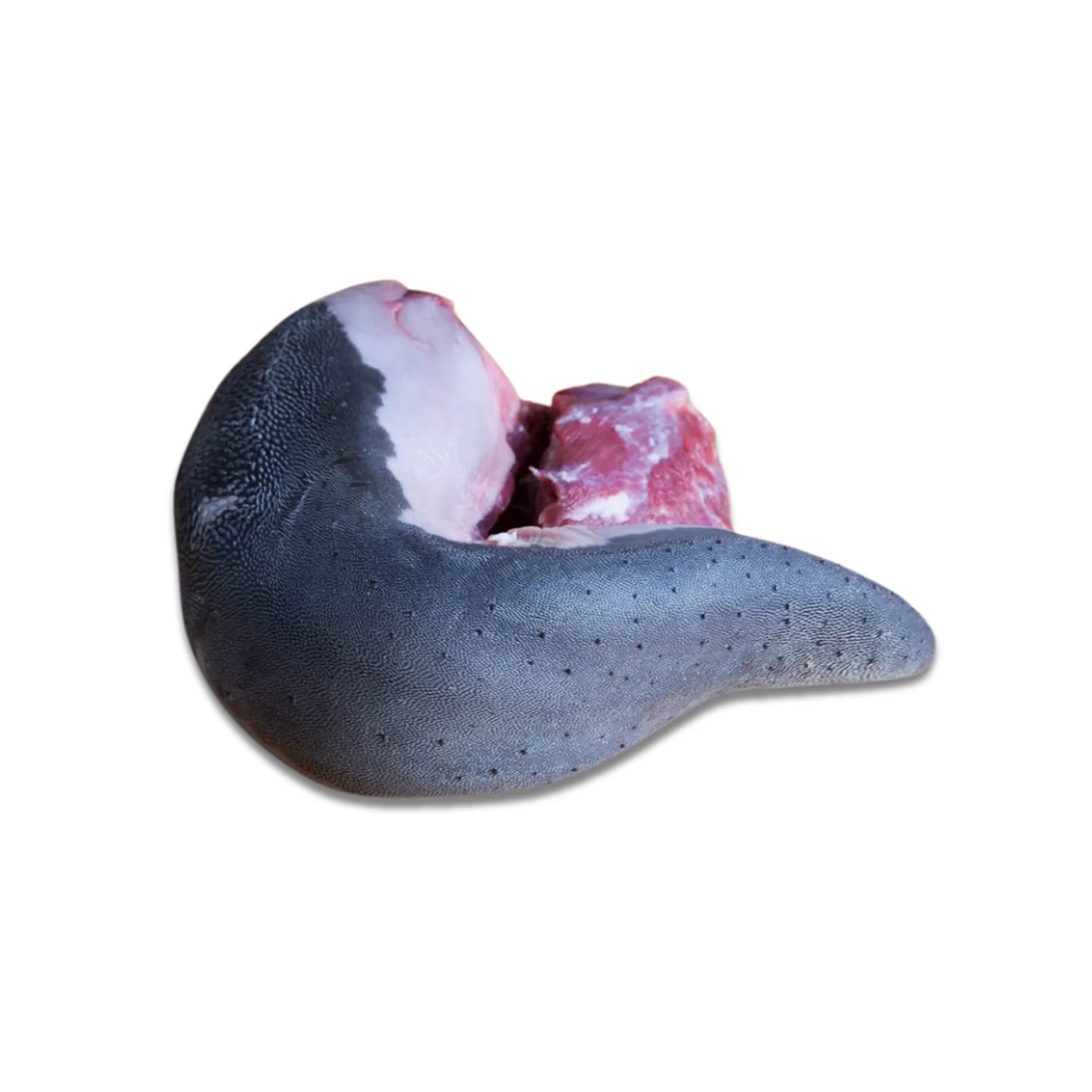 brewer livestock – Premium Halal Beef Tongue - Image 2